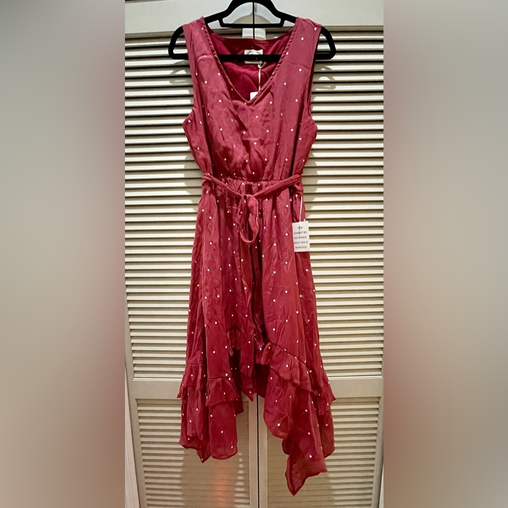 NWT-Joyfolie India Dress in Rust Dot - Color Rust -Size L